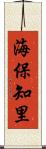 海保知里 Scroll