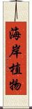 海岸植物 Scroll