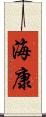 海康 Scroll