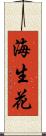 海生花 Scroll