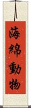海綿動物 Scroll