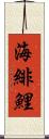 海緋鯉 Scroll