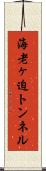 海老ヶ迫トンネル Scroll