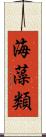海藻類 Scroll