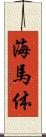 海馬体 Scroll