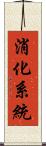 消化系統 Scroll