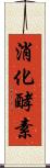 消化酵素 Scroll