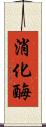 消化酶 Scroll