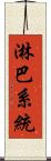 淋巴系統 Scroll