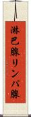 淋巴腺 Scroll