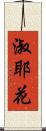 淑耶花 Scroll