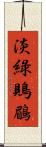 淡綠鵙鶥 Scroll