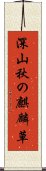 深山秋の麒麟草 Scroll