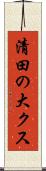 清田の大クス Scroll