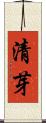 清芽 Scroll