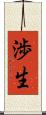 渉生 Scroll