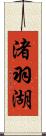 渚羽湖 Scroll