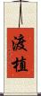 渡植 Scroll