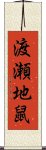 渡瀬地鼠 Scroll