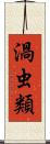 渦虫類 Scroll
