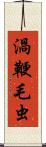 渦鞭毛虫 Scroll