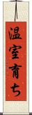 温室育ち Scroll
