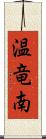 温竜南 Scroll