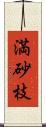 満砂枝 Scroll