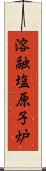溶融塩原子炉 Scroll