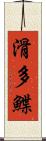 滑多鰈 Scroll