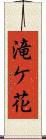 滝ケ花 Scroll