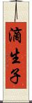 滴生子 Scroll