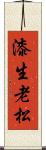 漆生老松 Scroll