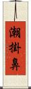 潮掛鼻 Scroll