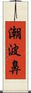 潮波鼻 Scroll