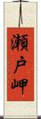 瀬戸岬 Scroll