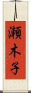 瀬木子 Scroll