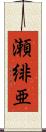 瀬緋亜 Scroll