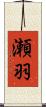 瀬羽 Scroll