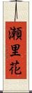 瀬里花 Scroll