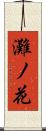 灘ノ花 Scroll