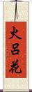 火呂花 Scroll