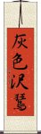 灰色沢鵟 Scroll