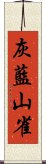 灰藍山雀 Scroll