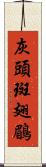 灰頭斑翅鶥 Scroll