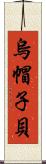 烏帽子貝 Scroll