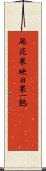 無花果 Scroll