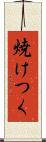 焼けつく Scroll