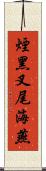 煙黑叉尾海燕 Scroll