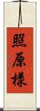 照原樣 Scroll